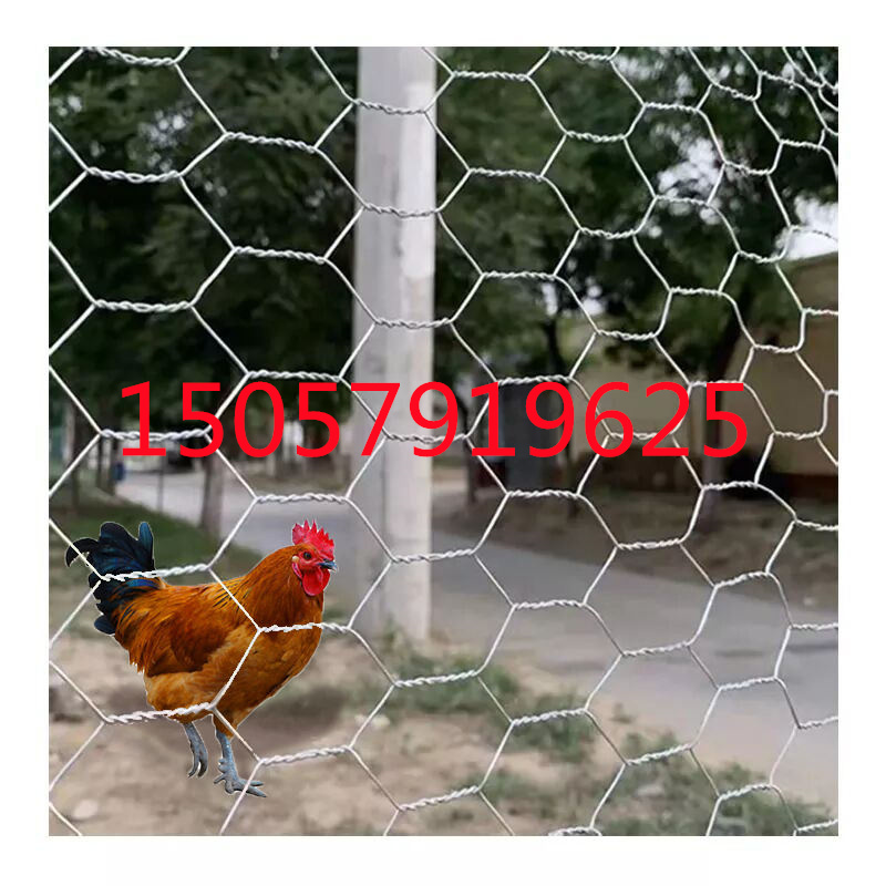 养鸡网 鸡笼网 六角网 铁丝网 chicken mesh详情10