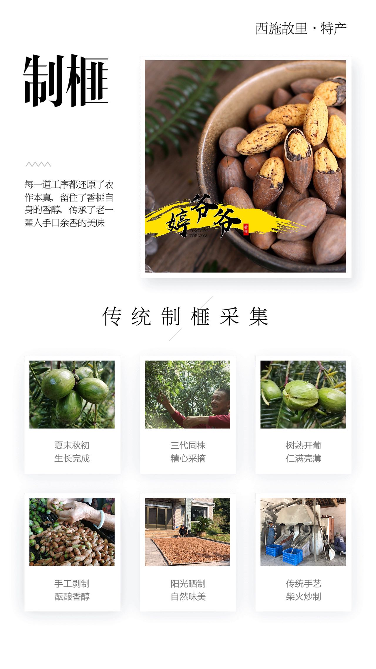 婷爷爷香榧2023年新货绿色食品不打农药不含添加剂500克装详情2