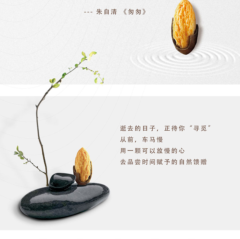 榧常好食新货大颗粒正宗香榧一颗香榧手抓包250克详情2