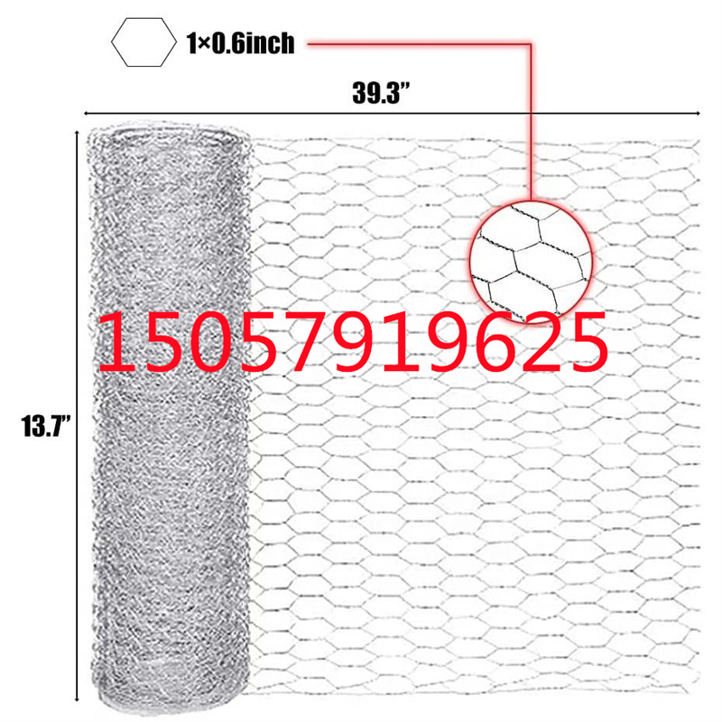 PVC六角网 涂塑 养鸡网鸡笼网六角网 出非洲现货详情8