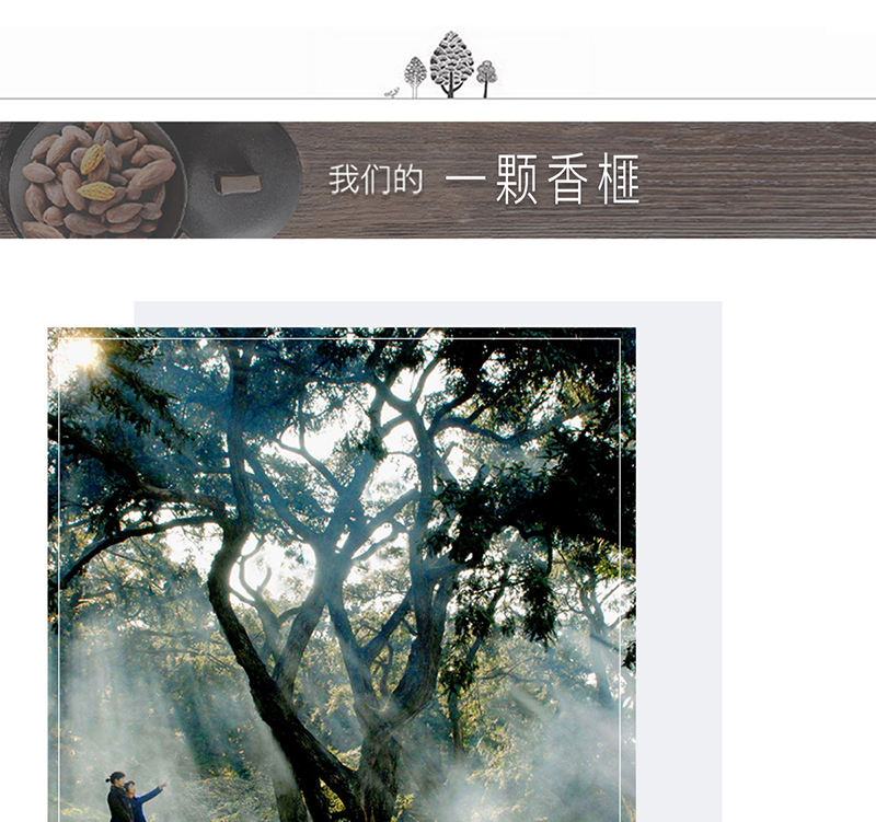 榧常好食新货大颗粒正宗香榧一颗香榧手抓包250克详情5