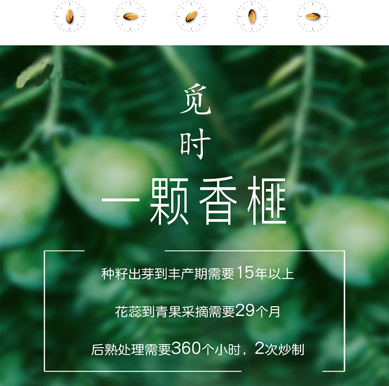 榧常好食新货大颗粒正宗香榧一颗香榧手抓包250克详情3