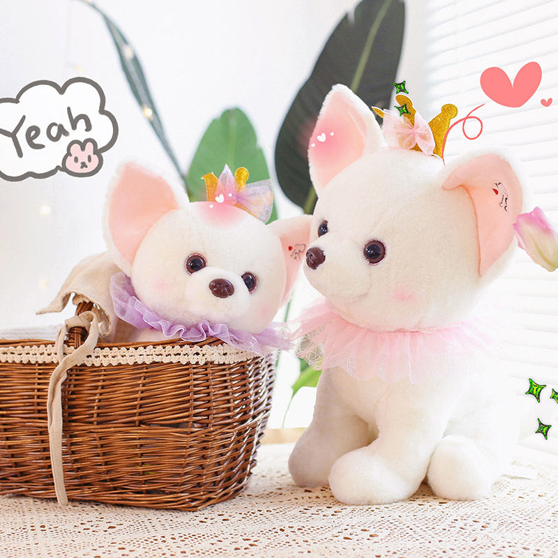 2022 New Chihuahua Doll Plush Toy Cute Male And Female Bedroom Birthday Gift Plush Toy 40M