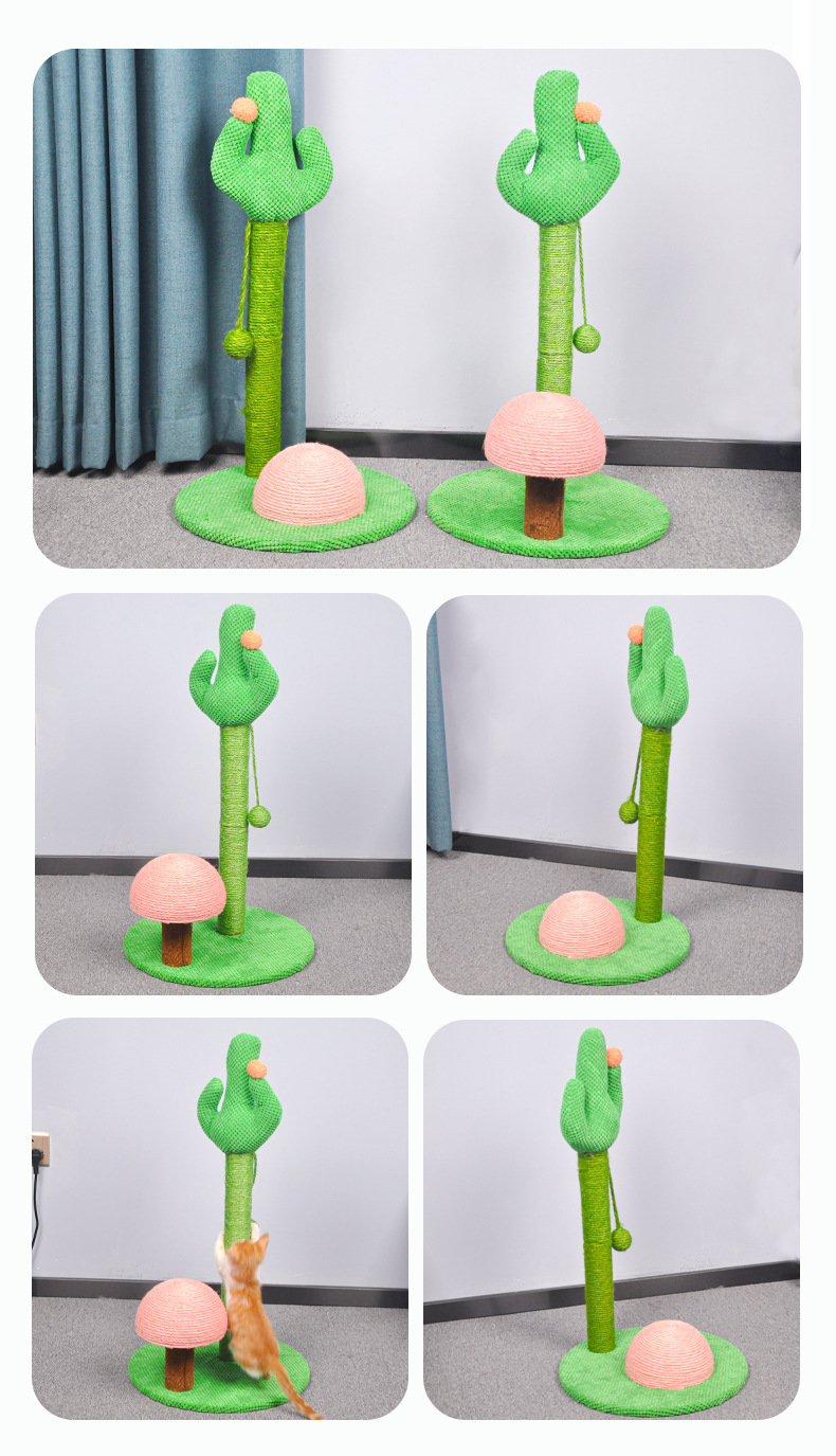 Nuevos productos para mascotas cactus estilo cat clawboard puede afilar garra para desahogar desde hola gato trepador con bola juguete para mascotas gato pic 8