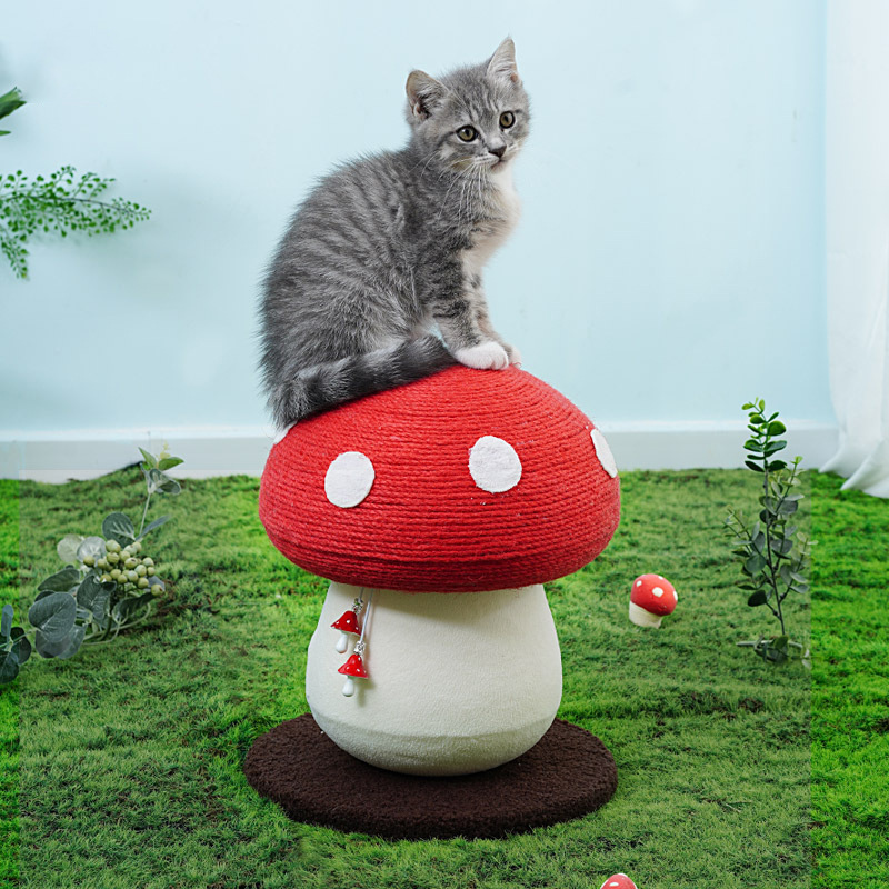 新款宠物用品猫咪玩具红蘑菇猫爬架剑麻绳耐磨耐抓可爱蘑菇猫咪解闷玩具