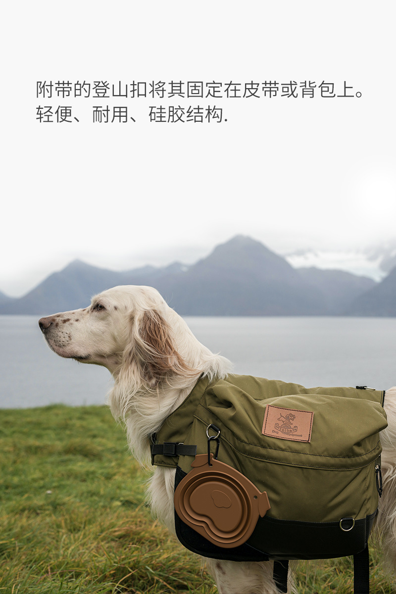 宠物折叠碗食品硅胶自动喂食碗猫狗通用户外便捷旅行带挂钩狗食盆详情5
