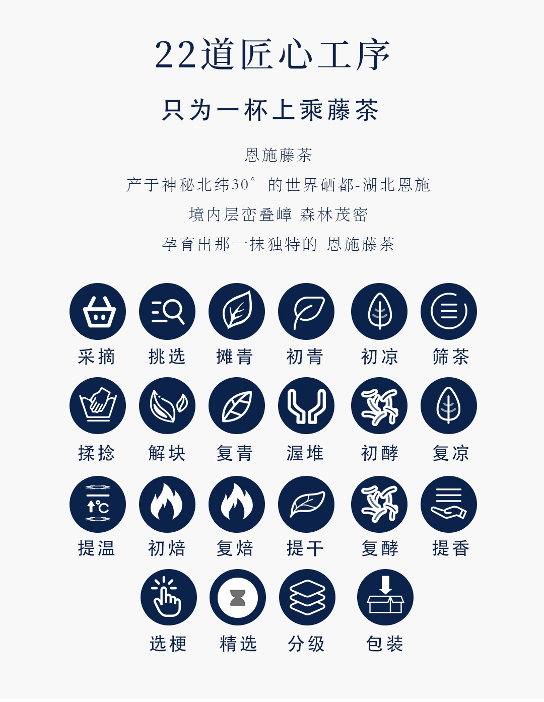 仙芝星藤茶赛来凤张家界霉茶恩施硒茶芽茶袋装散茶级罐装50g详情5