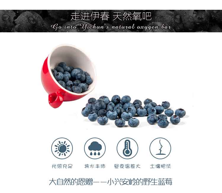 【森工严选】忠芝蓝莓酒干型750ml*2瓶 12.5度详情1