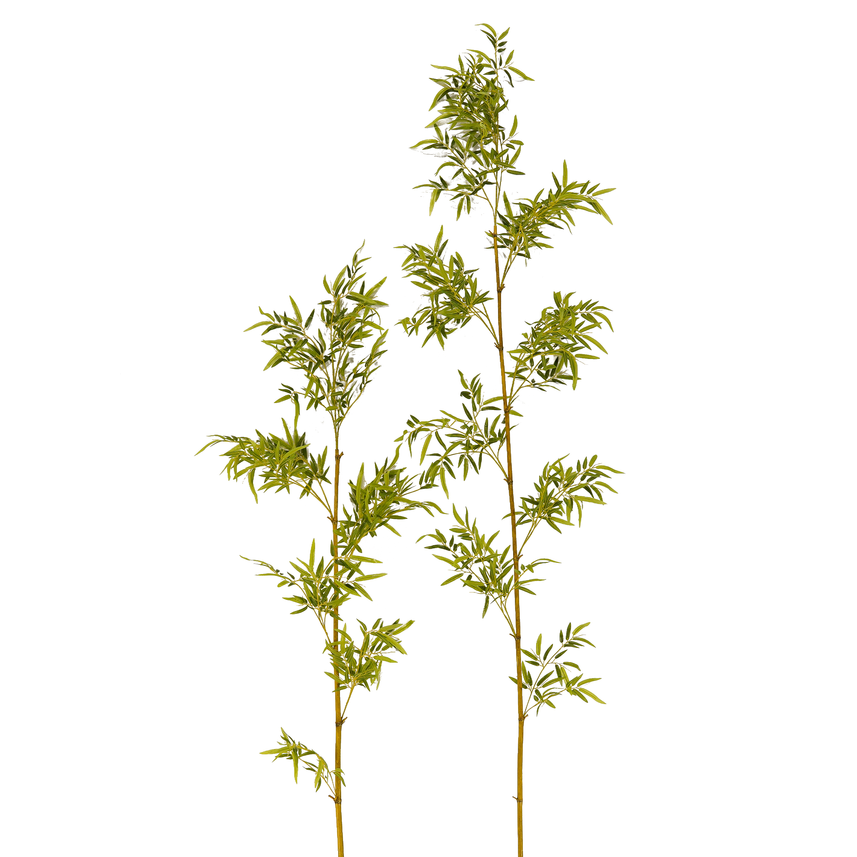 New flame retardant simulation plant simulation bamboo single bamboo bamboo cloud manufacturers direct supply Nordic simple style hotel home decoration simulation plant golden bamboo leaves true bamboo pole pot wholesale thumbnail