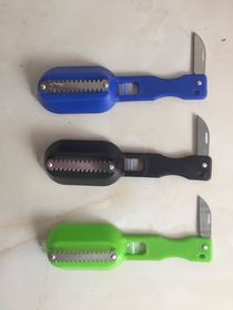 Home scaler