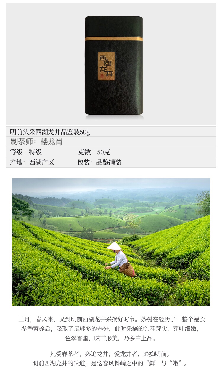 杭州白头红茶叶2022新茶明前西湖龙井茶绿茶50g罐装楼龙肖制茶师亲制详情3