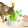 新款宠物用品猫草风车猫咪自嗨玩具吸引猫咪注意力提高智力释放天性猫咪玩具图