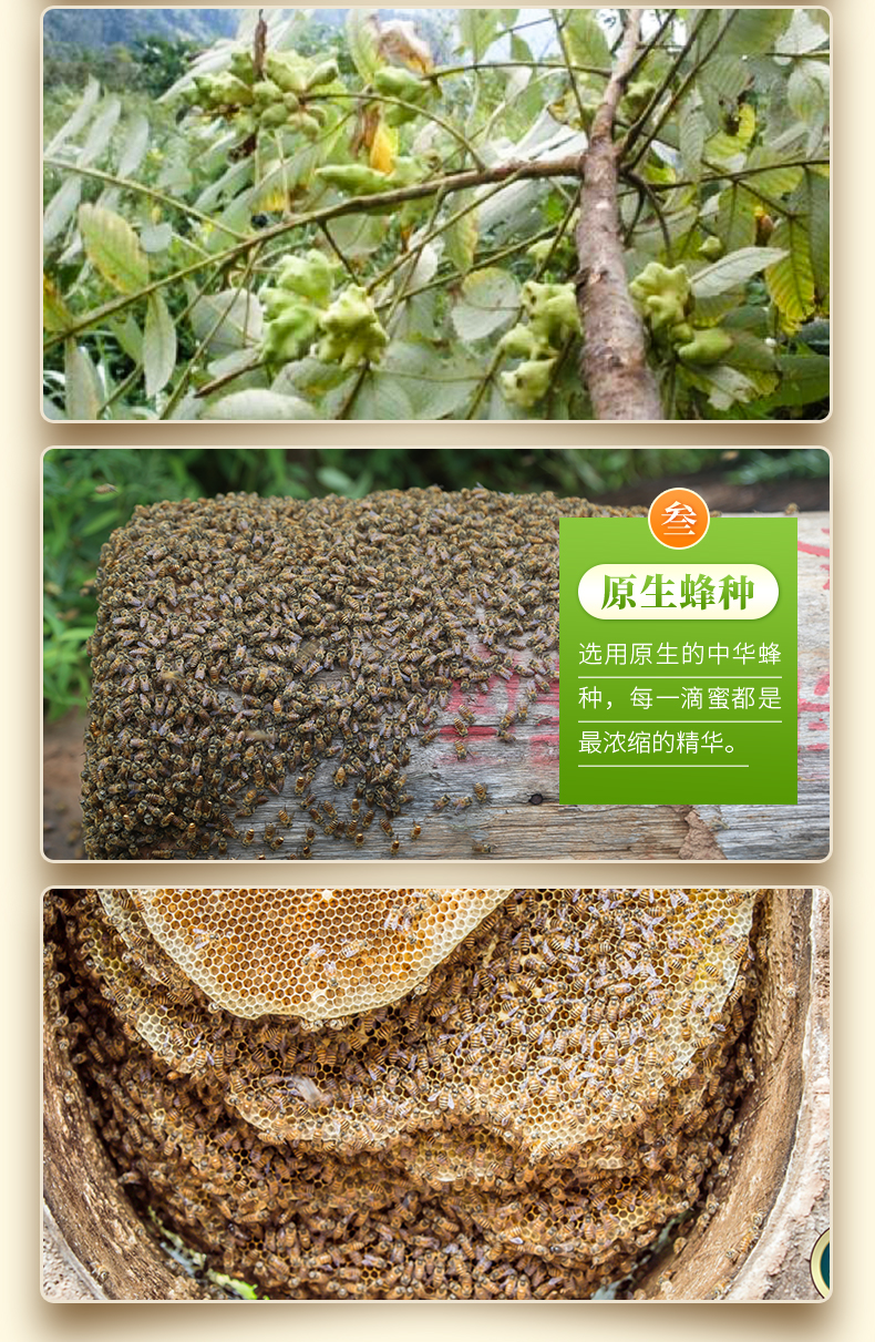 【五倍子土蜂蜜600g陶罐装】 农家自产土蜂蜜 原蜜更健康详情9