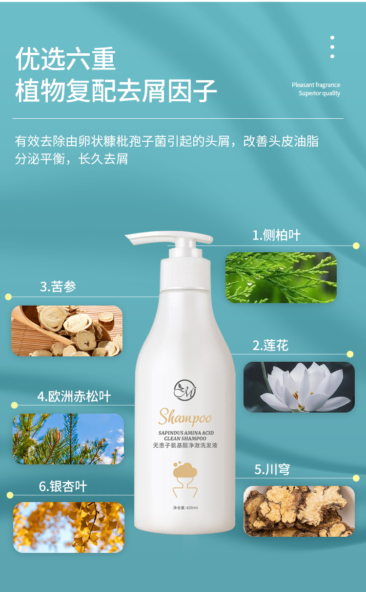 满园春无患子氨基酸净澈洗发液详情7