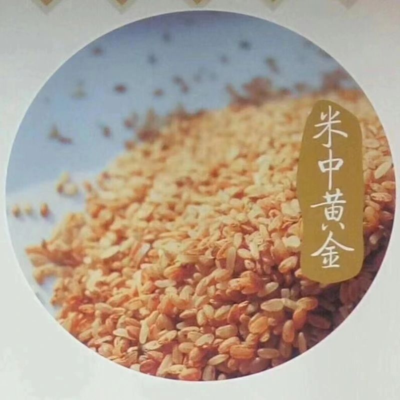 景宁老红米-米中黄金 低糖粗粮月子米 2022新米