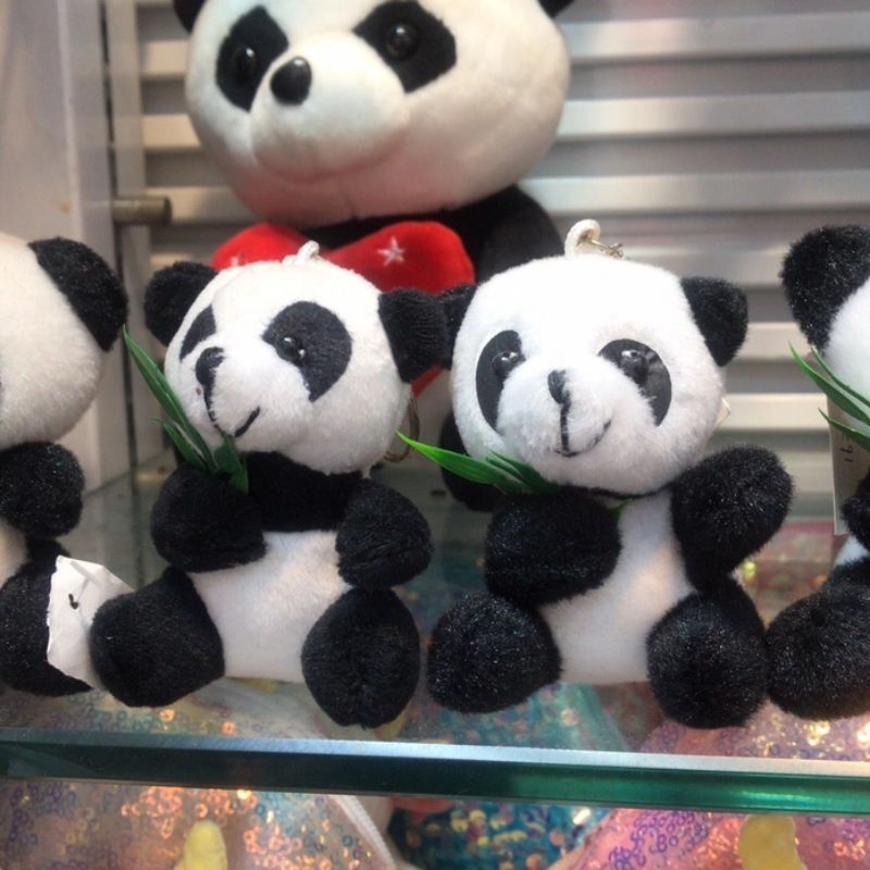 Panda Plush toy, Panda Newspaper, Bamboo Cute Pendant, Vision Toy 01 details Picture
