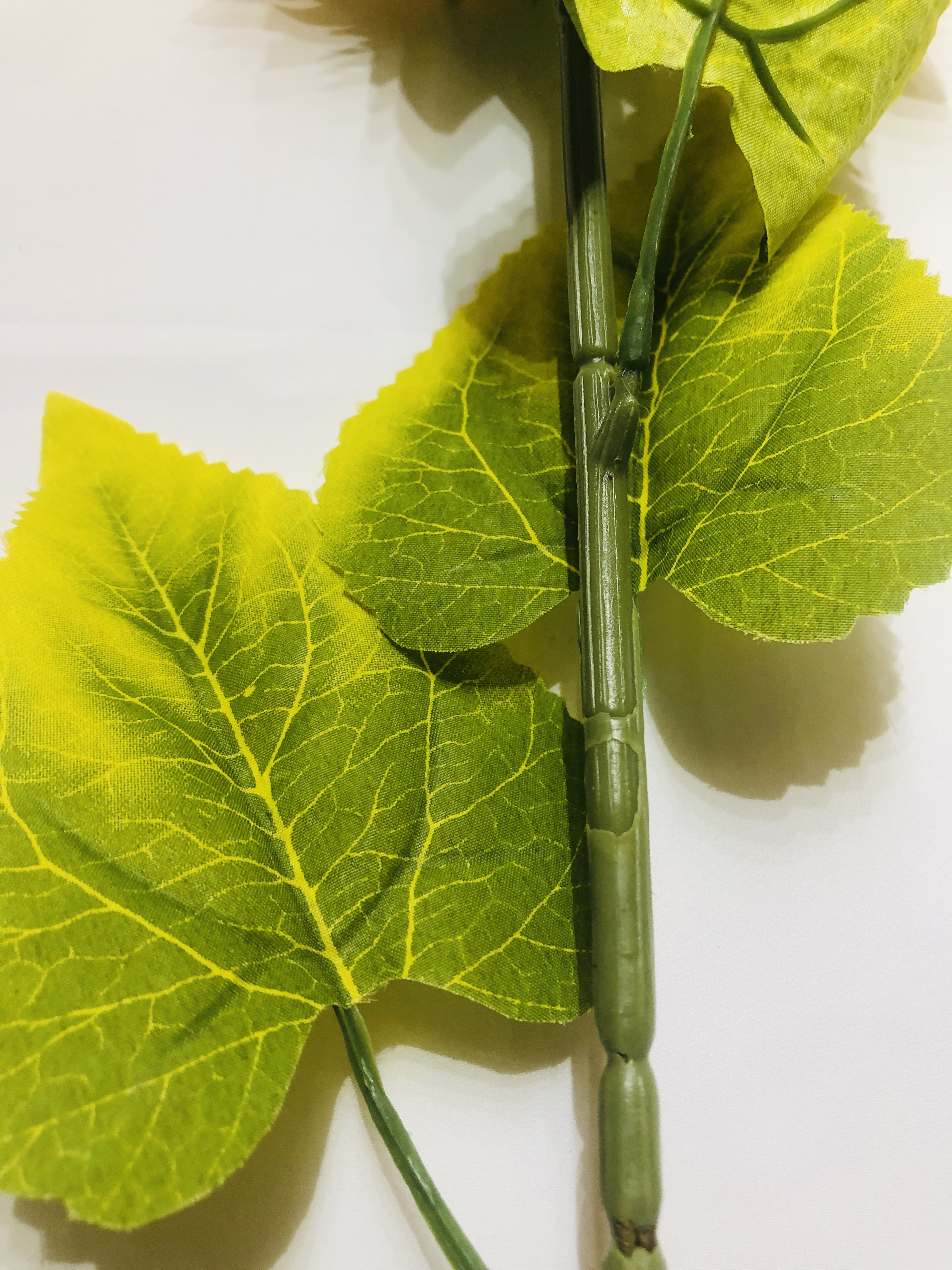 Sunflower in various styling settings – kitchen, wedding, shelf