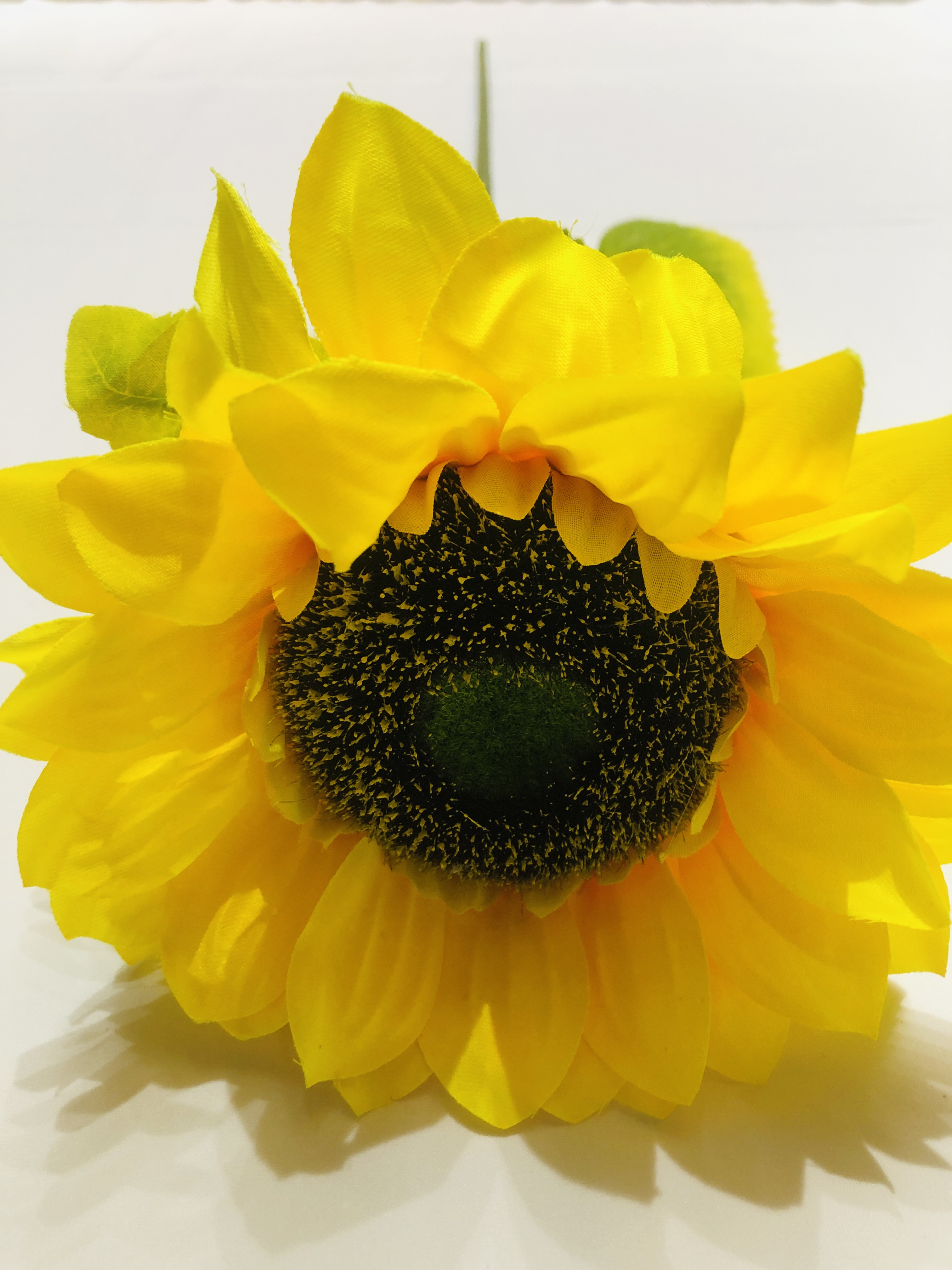 Artificial sunflower in minimalist interior setting