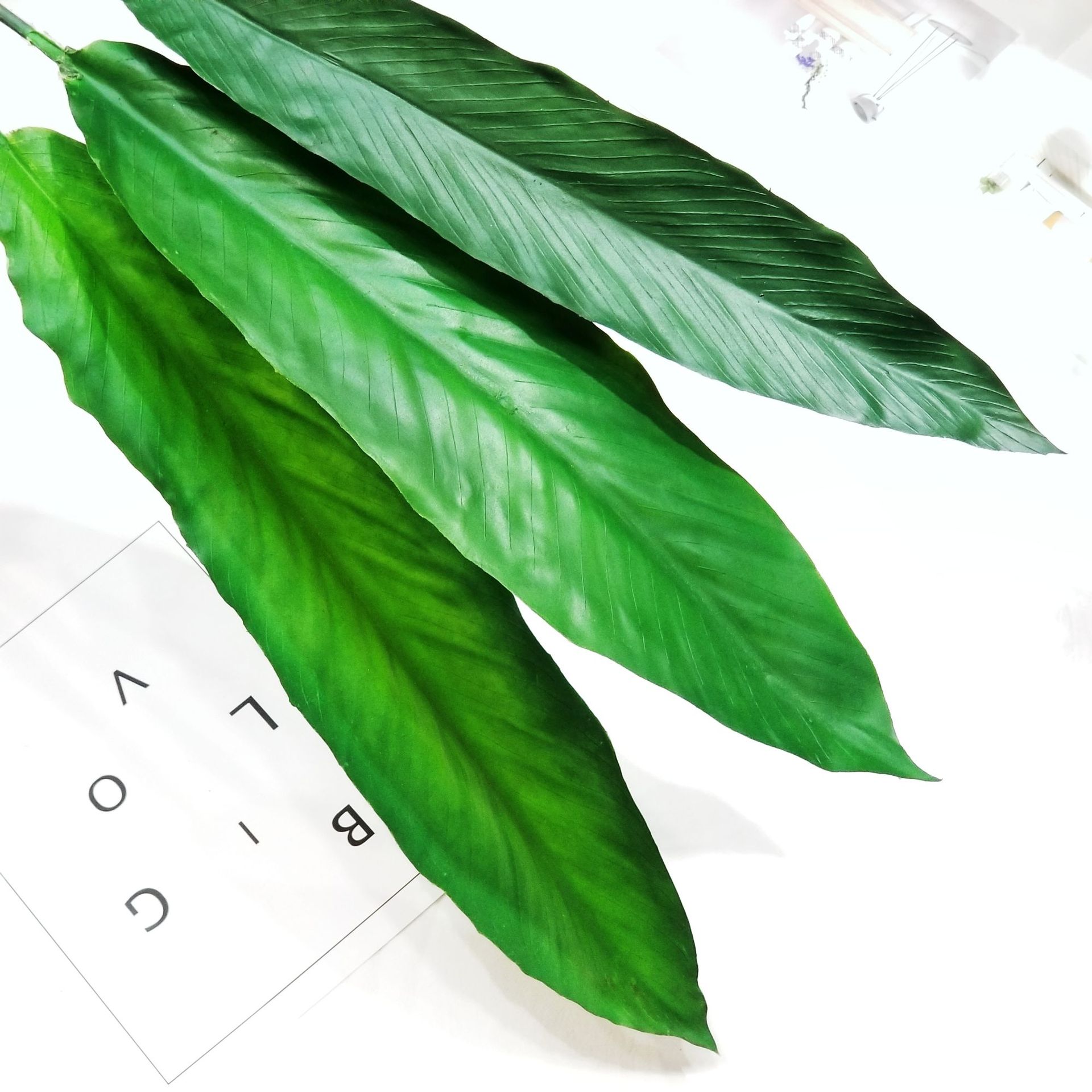 Liou Foreign Trade Export Soft Rubber Bird Of Paradise Leaves Cross-Border Simulation Feel Bird Of Paradise Leaves Large, Small And Medium Bird Of Paradise Leaves details Picture