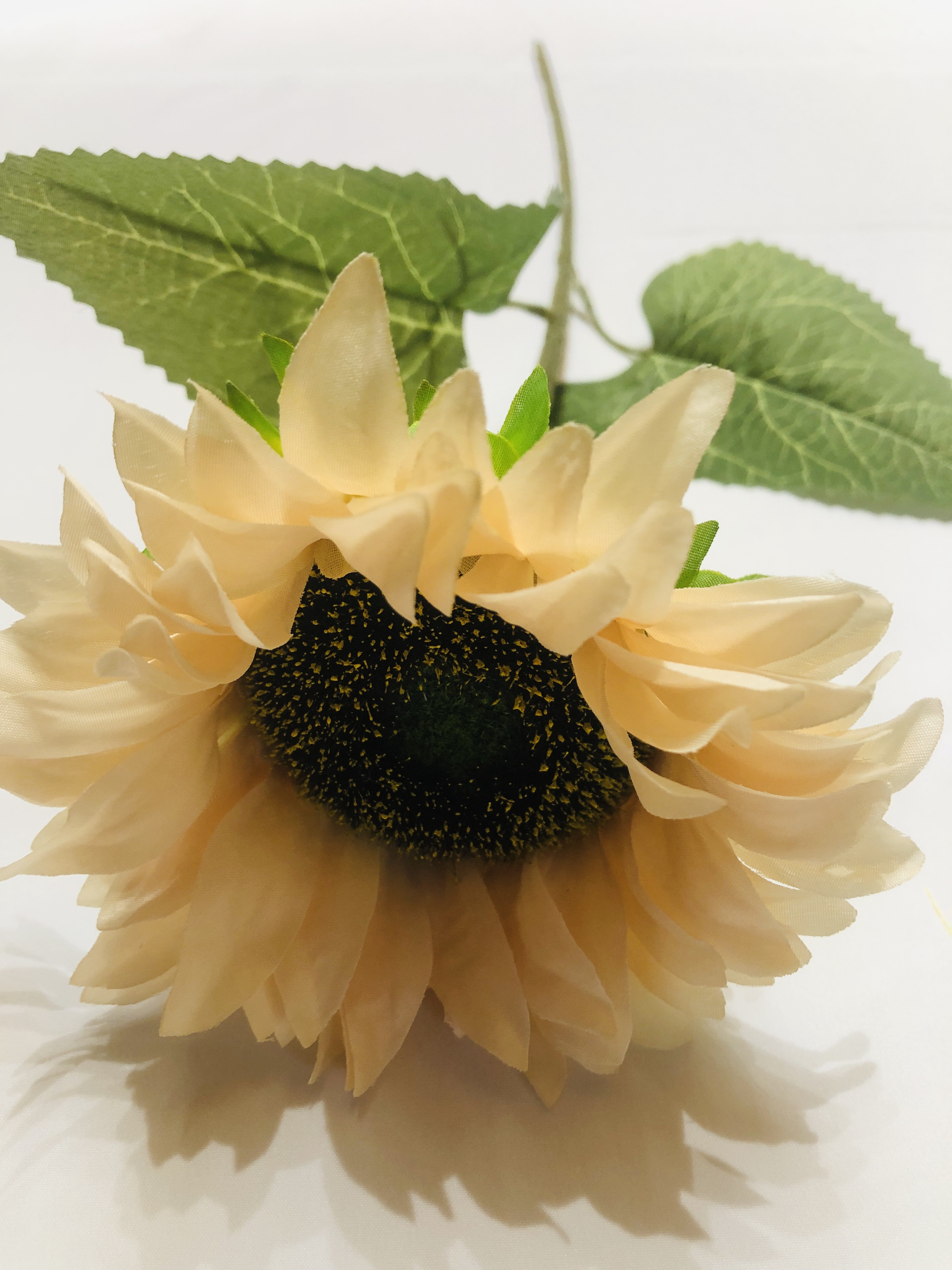 Simulation Home Decoration Color Latin Single Sunflower Fake Sunflower School Sports Meeting Props Photography Photo Props Restaurant Table Simulation Color Sunflower Specification drawing
