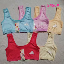 Primary and secondary school students boob girls bra development period milk silk broadband small vest