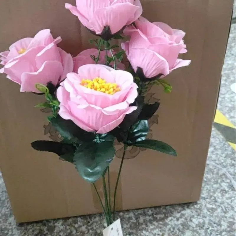 5头小 康乃馨343