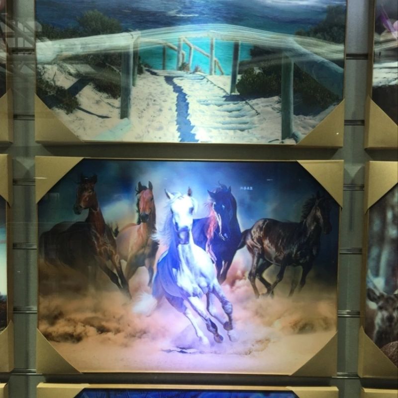 5D stereoscopic painting, 3D stereoscopic painting, and moving painting details Picture