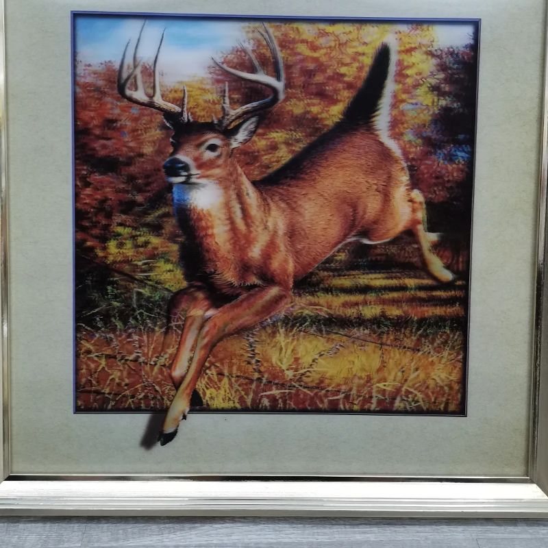 5D三维立体装装饰画，画片清透，立体效果强详情8