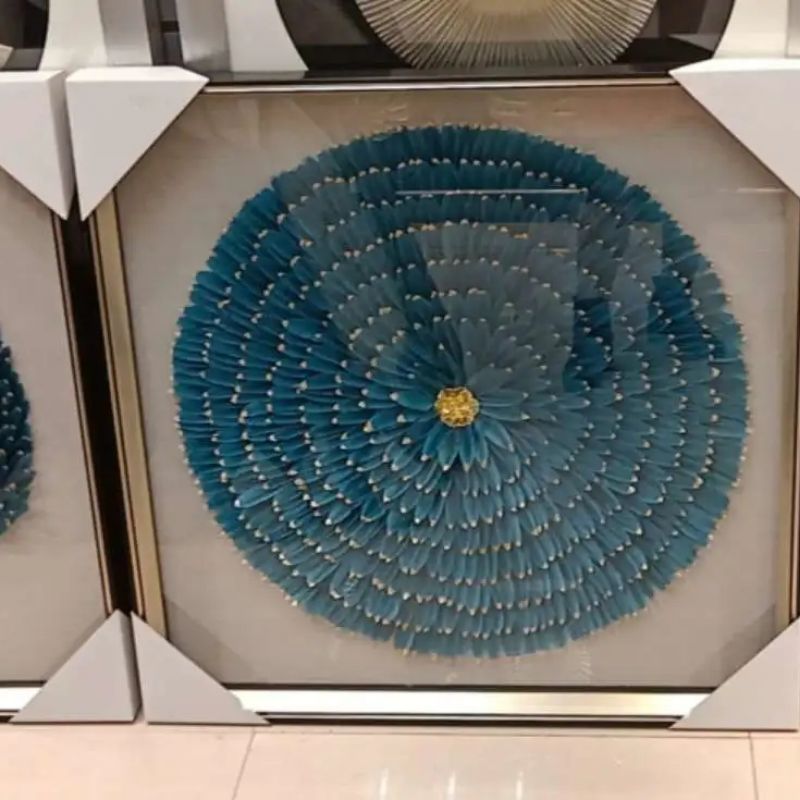 Feather Picture Application Scenario