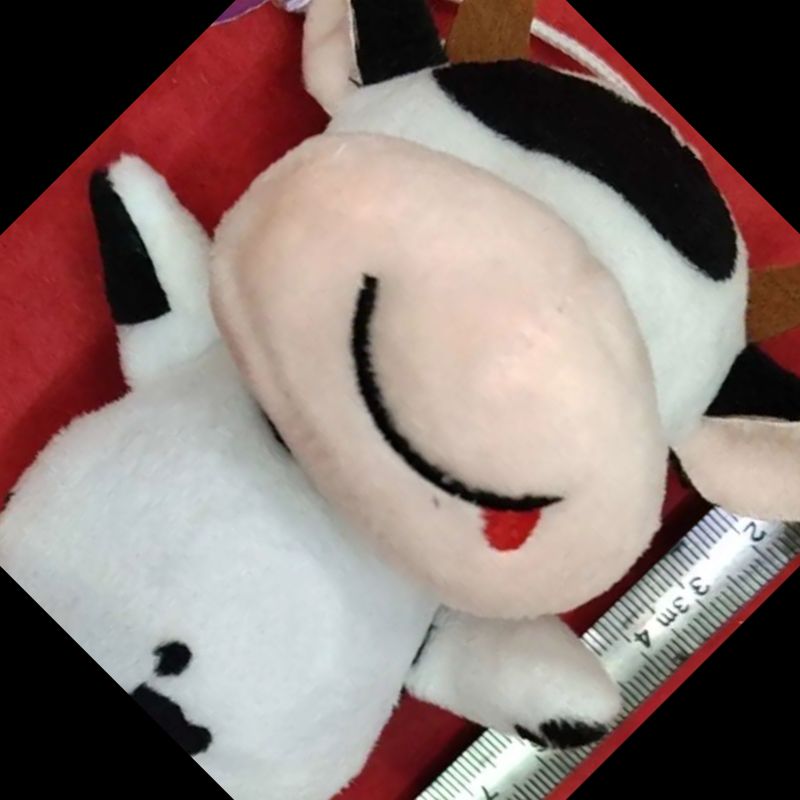 毛绒挂件/毛绒玩具/小挂件产品图