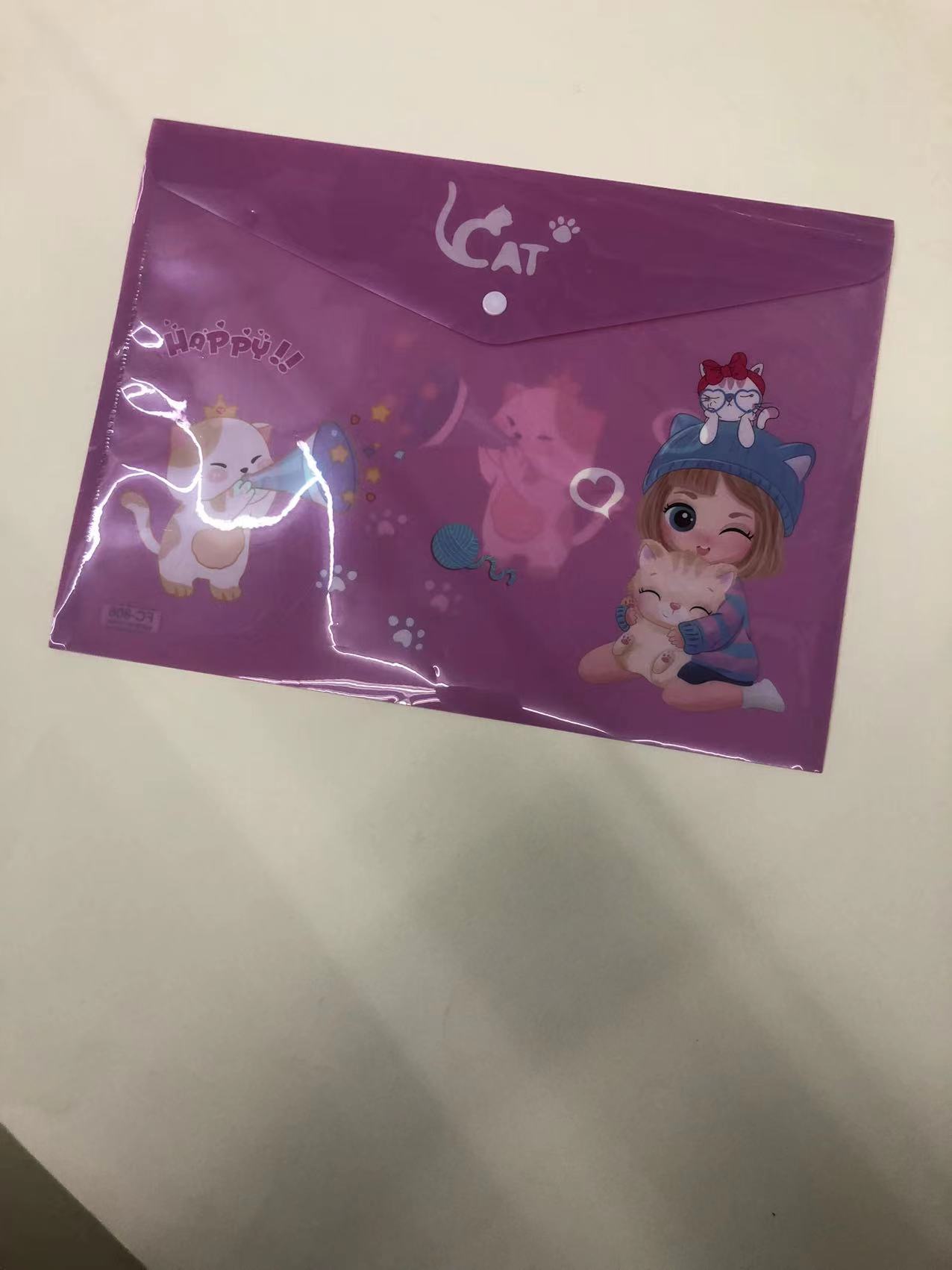 文件袋/保单袋/档案袋白底实物图