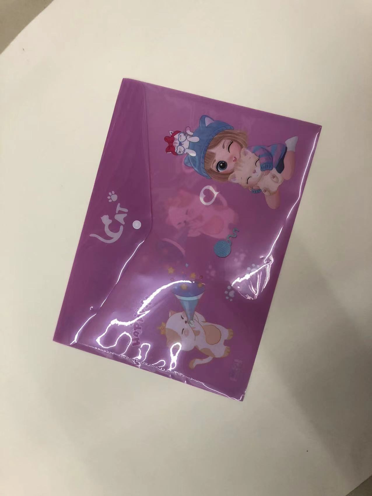 文件袋/保单袋/档案袋产品图