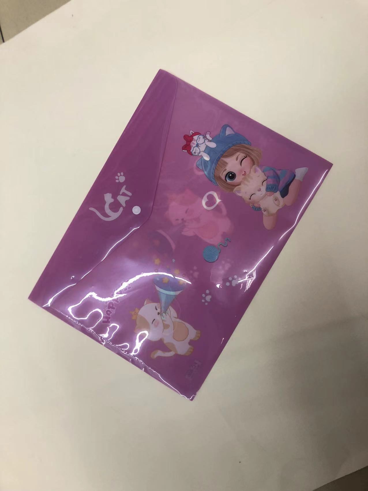 文件袋/保单袋/档案袋细节图