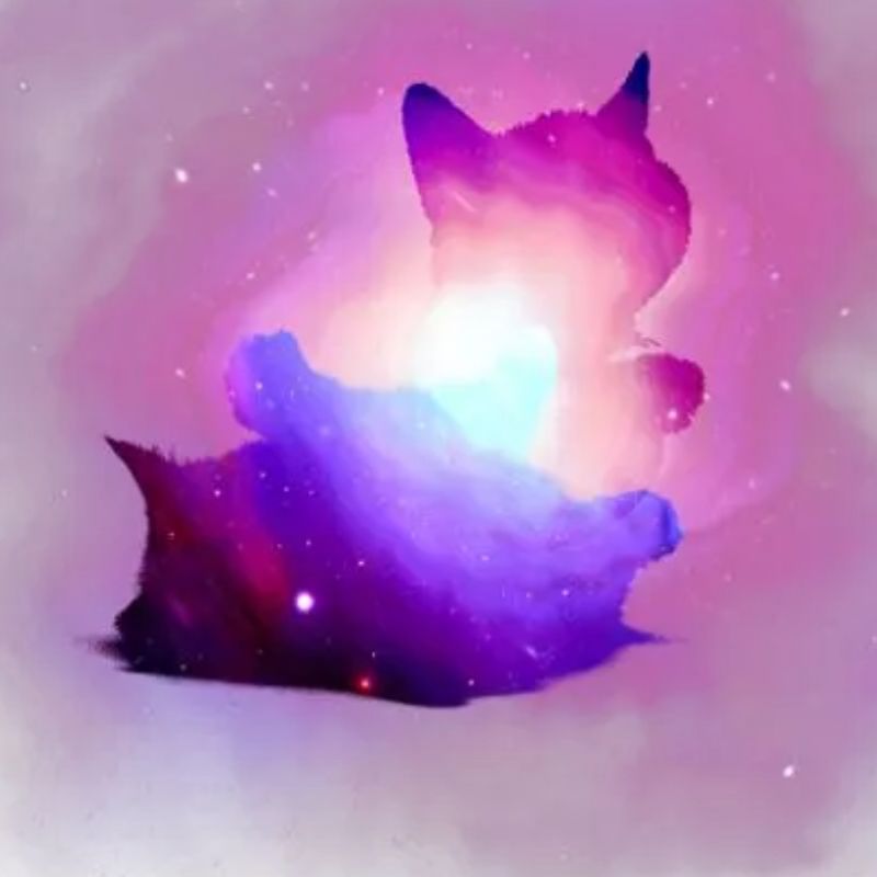 皮革/布/纺织细节图