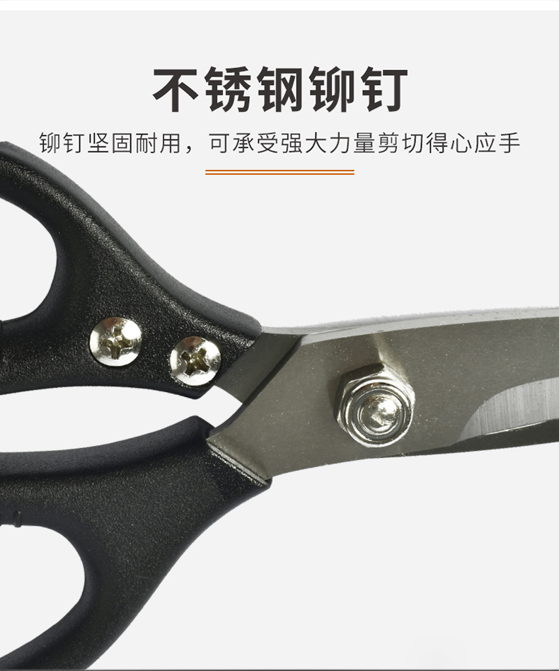 佰世园艺园林工具果树摘果剪 园艺修枝剪省力不锈钢 园艺稀果剪刀详情3