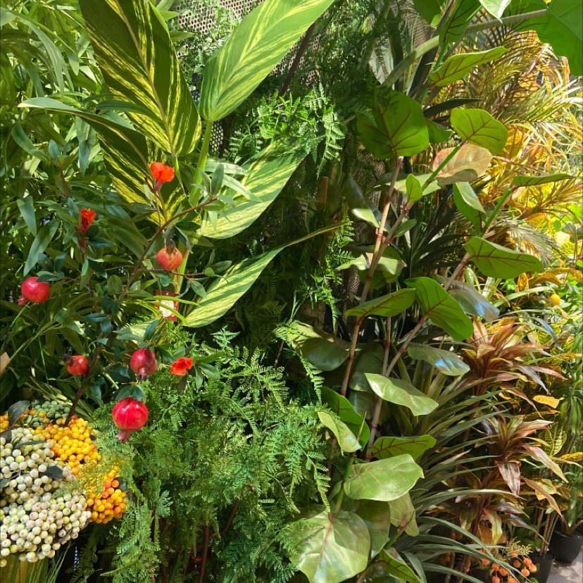 Lin's handicrafts describe pic - 8