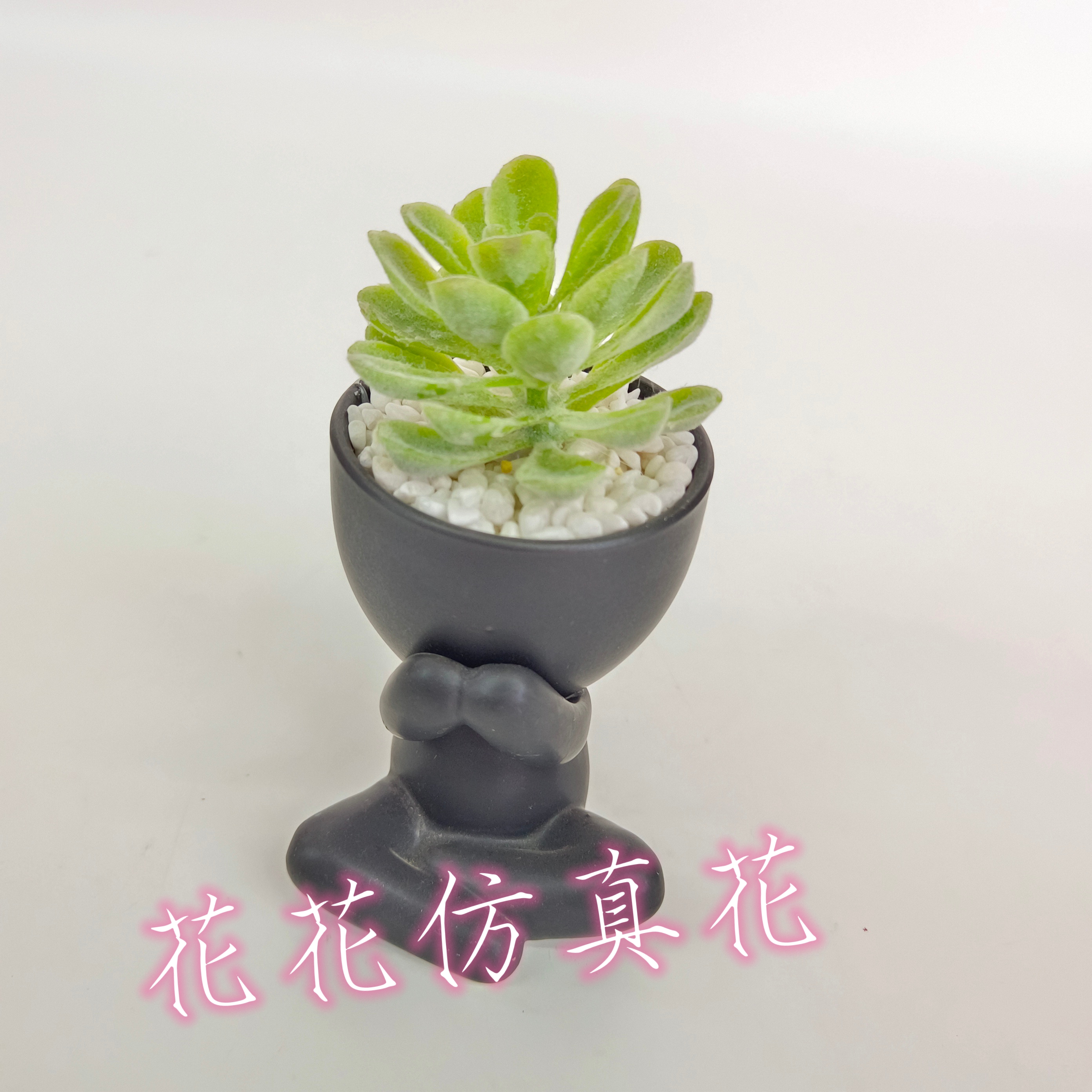仿真花假花盆景陶瓷盆多款多肉客厅办公桌梳妆台等摆件装饰品详情6