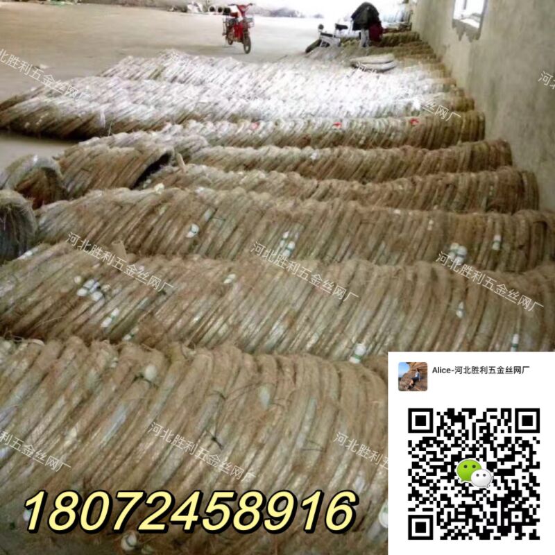 铁丝/黑铁丝/电镀丝产品图