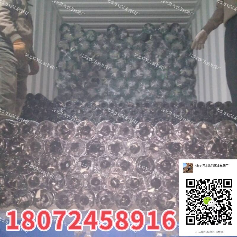 六角网 养殖网 拧花网 3/4'' 1/2''  正拧 正反拧 养鸡网 铁丝网 质优价廉 工厂直销详情8