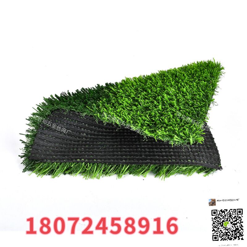 草/草坪/假草白底实物图