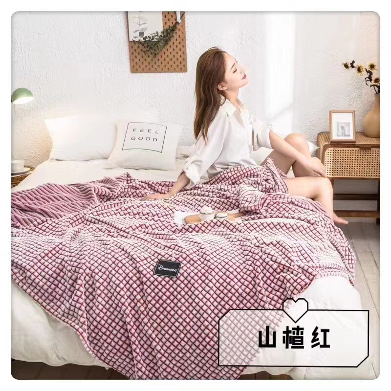 Plain Back Print Plaid Blanket Comfort Bedding Skin Friendly Blanket For Two details Picture
