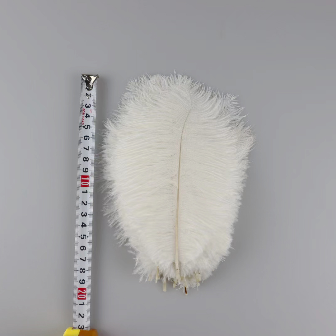 Handmade Diy Warm Wind Net Red Photo Props Colorful Ostrich Hair Whole 15~20 Specification drawing
