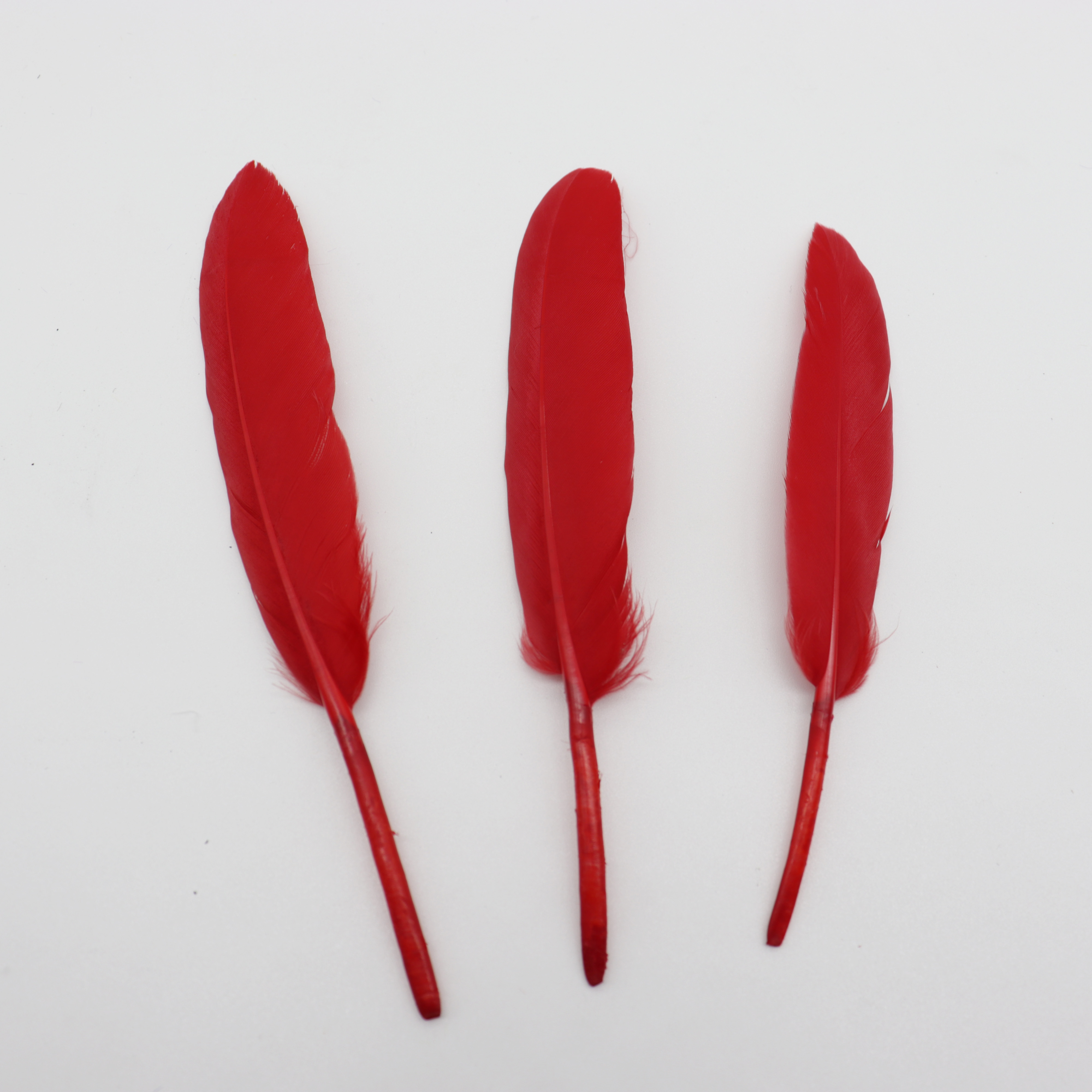 Manufacturers Direct Sales Diy Colorful Jewelry Goose Feather Straight Knife 10~15Cm Application Scenario