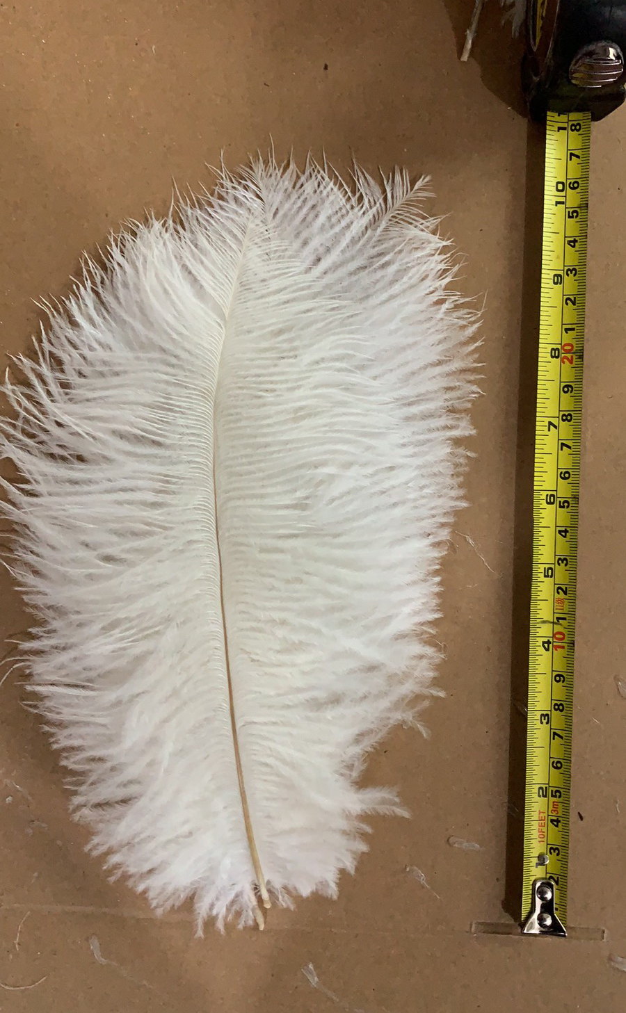 Manufacturers Direct Sales Wedding Decoration Props Colorful Ostrich Hair Whole 25~30Cm details Picture
