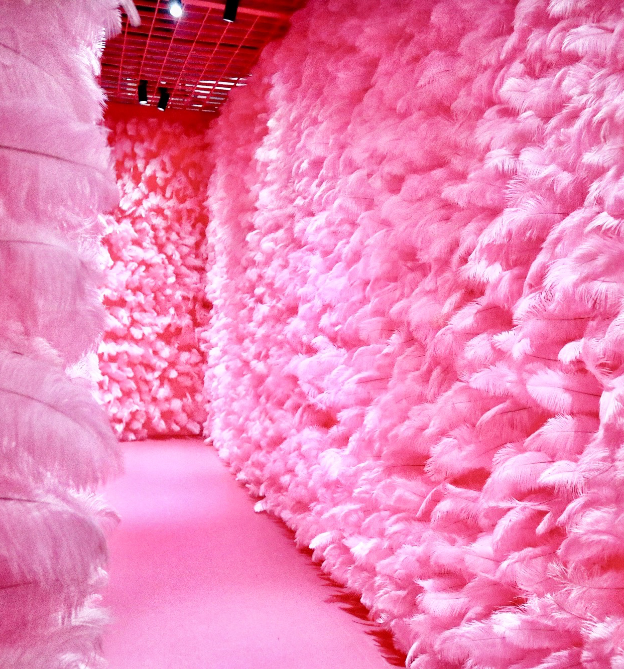 Manufacturers Direct Sales Wedding Decoration Props Colorful Ostrich Hair Whole 25~30Cm Application Scenario