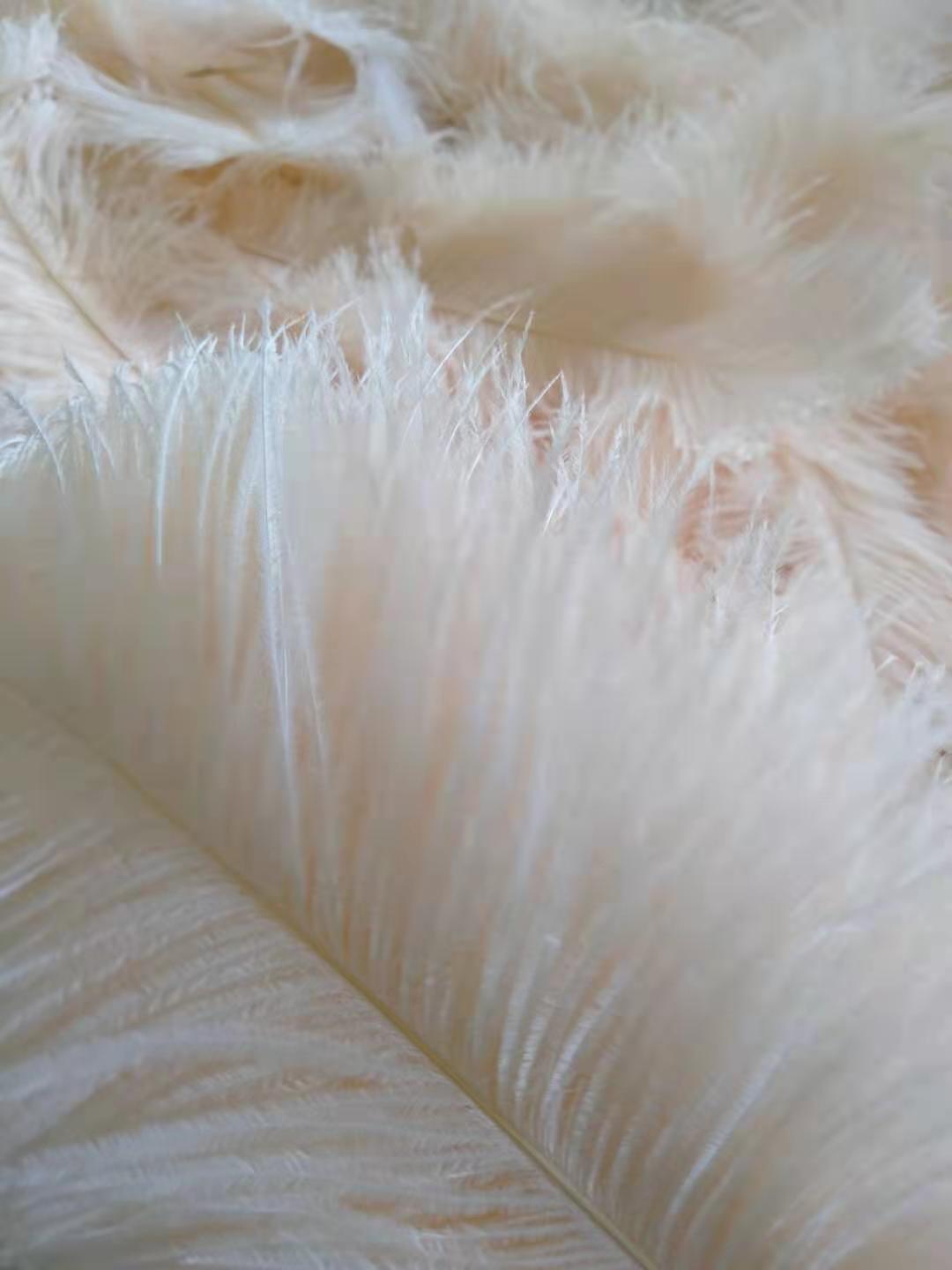 Manufacturers Direct Sales Wedding Decoration Props Colorful Ostrich Hair Whole 25~30Cm