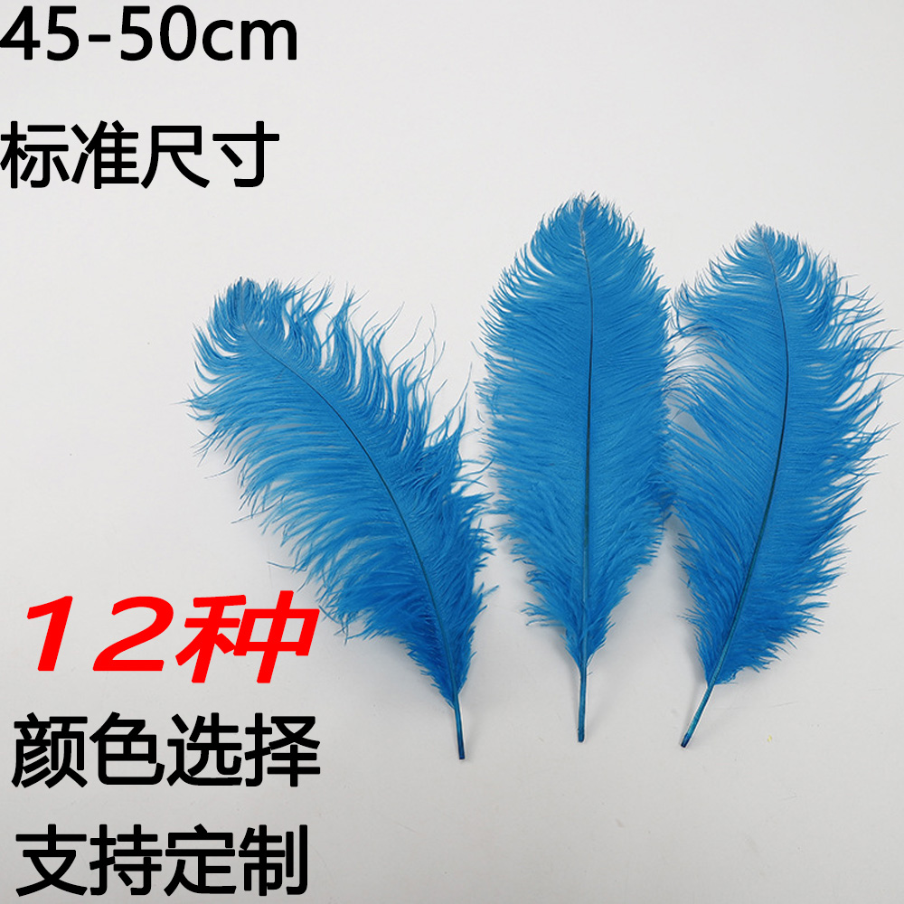 Diy Wedding Decoration Shooting Props Colorful Ostrich Hair Whole Thin Rod 45~50Cm Color Optional Specification drawing