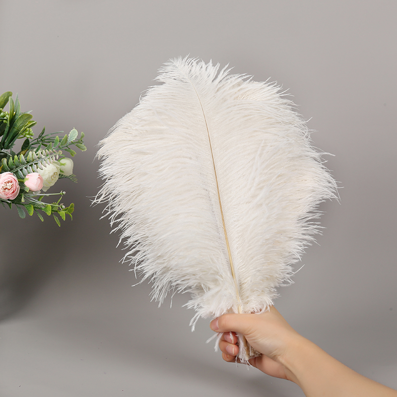 Diy Wedding Decoration Shooting Props Colorful Ostrich Hair Whole Thin Rod 35~40Cm Color Optional Specification drawing