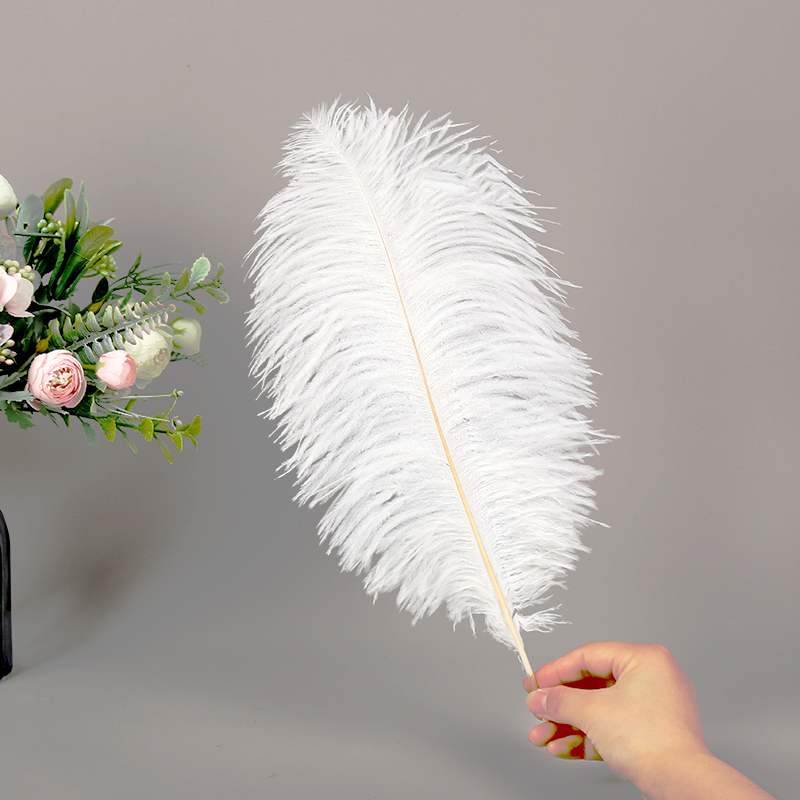 Diy Wedding Decoration Shooting Props Colorful Ostrich Hair Whole Thin Rod 35~40Cm Color Optional details Picture