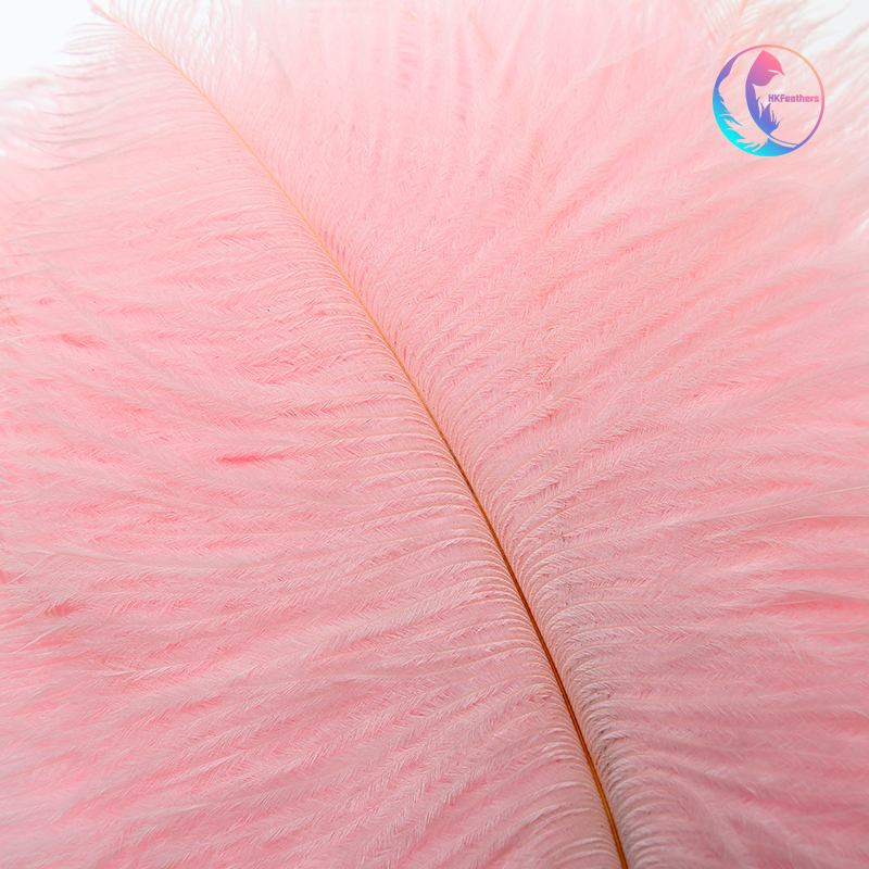 Handmade Diy Warm Wind Net Red Photo Props, Headgear, Decoration Colorful Ostrich Hair Whole 20Cm~25Cm Color Optional